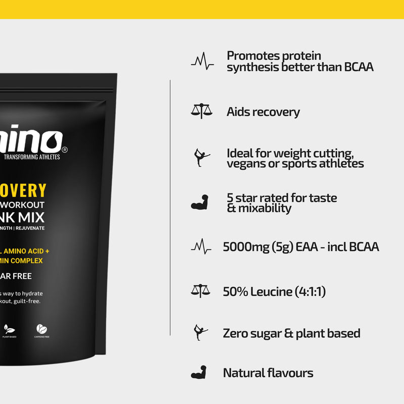 Amino Recovery - EAA & BCAA Intra Workout Amino Acid Recovery Drink - 5000mg EAA Amino Acids, B Vits & BCAA Powder - Protect Muscle & Aid Recovery - Sugar Free & Vegan (Blue Raspberry, 22 Servings) Blue Raspberry 22 Servings (Pack of 1) - BeesActive Australia
