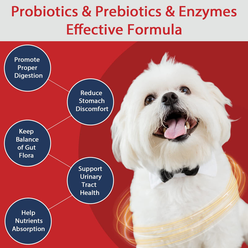 Probiotics for Dogs, Dog Probiotics and Digestive Enzymes for Gut & Digestive Health, with Prebiotics and Multivitamin, Constipation, Diarrhea and Allergy Relief, Immune Support, 180 Tablets Chicken - BeesActive Australia