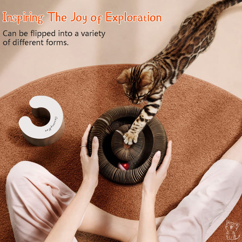 CusieryMax Cat Ball Toy, Deformable Cat Ball Track for Indoor Cats, combinable Magic Organ Cat Scratchboard with Ball, Interactive Mental Physical Training Exercise for Kitten. - BeesActive Australia