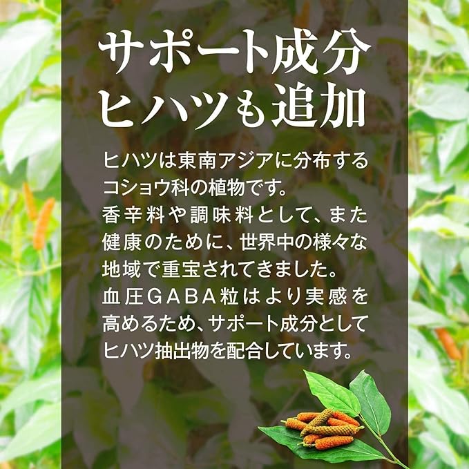 DMJ Egao Seikatsu Blood Pressure GABA Tablets 31 Days Supply 31 Tablets Gaba Supplement Blood Pressure Supplement GABA Made in Japan Food with Function Claims Tablet Type No Olives - BeesActive Australia