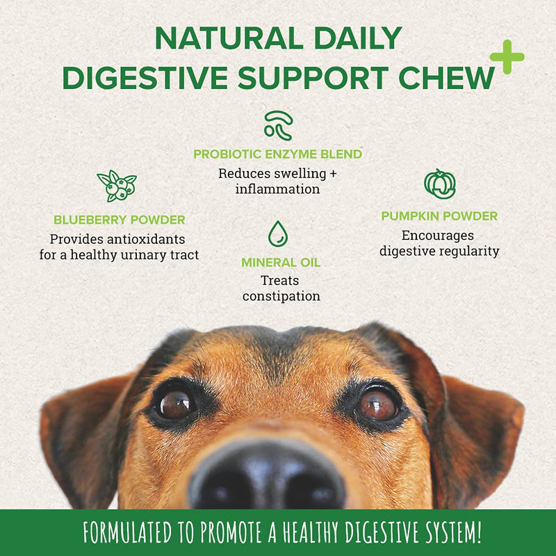 PupGrade Digestive Support Chews for Dogs - Upset Stomach, Diarrhea, Bowel, & Immune Support - Supplement with Probiotics, Prebiotics, Enzymes - Pumpkin, Blueberry, Mineral Oil - 60 Soft Chews - BeesActive Australia