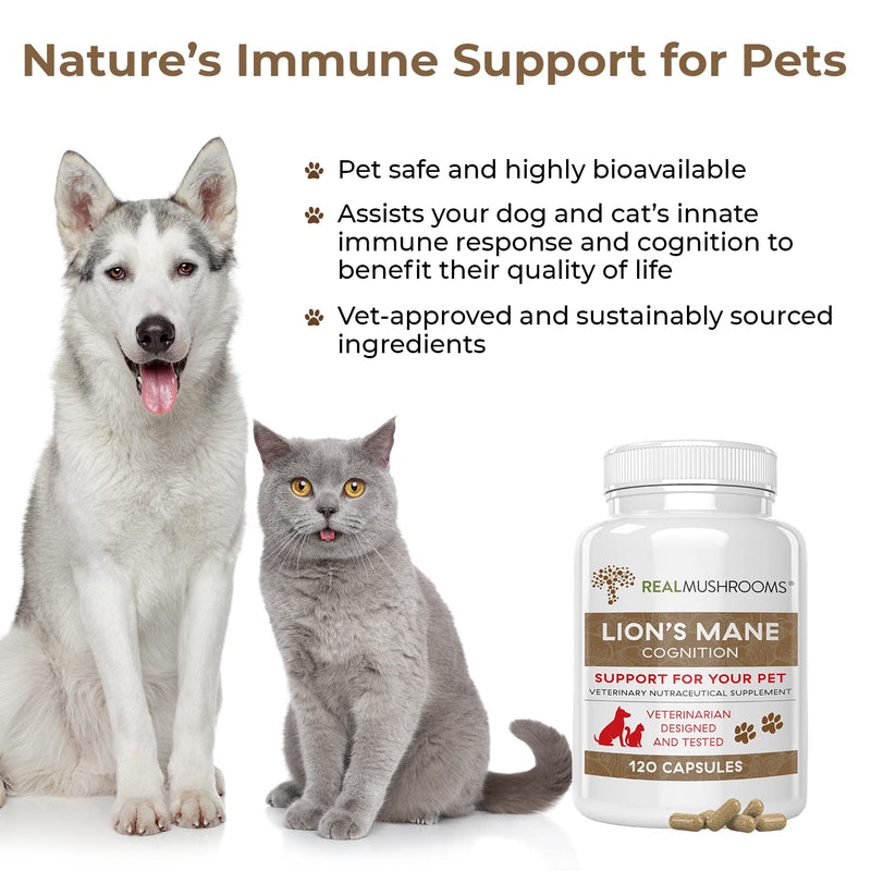 Real Mushrooms Cordyceps for Humans (120ct) and Lions Mane for Pets (120ct) - Bundle for Energy, Vitality & Cognition - Vegan, Non-GMO, Gluten-Free, Grain-Free Mushroom Extract Supplements - BeesActive Australia