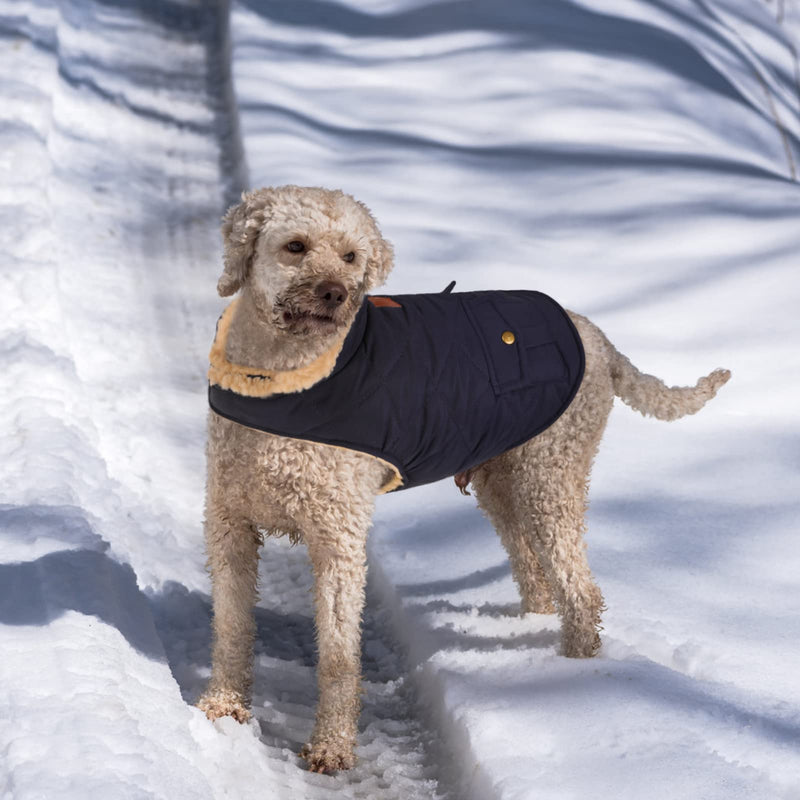 Queenmore Cold Weather Dog Coat, Winter Quilting Dog Jacket Ultra Warm Thick Plush Lining with Storage Pockets Small Dark Navy - BeesActive Australia