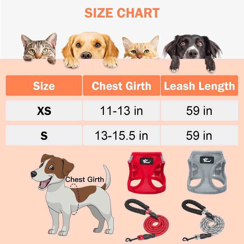 Small Dog Harness and Leash Set, 2 Pack No Pull Dog Harness with Handle, Breathable Soft Mesh Puppy Harness with Reflective Strap, Dog Vest Harness for Small Dogs, Cats, and Puppy XS: 11.5"-13.5" Grey & Red - BeesActive Australia