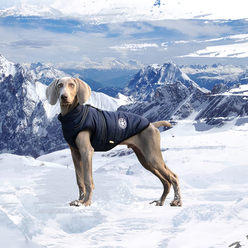 AIMYDOG Warm Dog Winter Coat Cozy Waterproof Windproof Dog Outdoor Jacket, Adjustable Pet Vest with Harness & D Rings, Thick Polar Fleece Lining, Reflective Dog Apparel for Small Medium Large Dogs Blue - BeesActive Australia