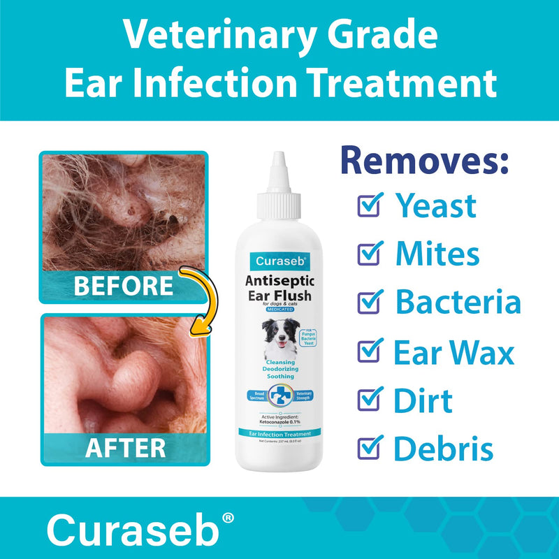 BEXLEY LABS Curaseb Cat & Dog Ear Infection Treatment - Stops Infections, Inflammation & Itchiness, Veterinary Strength 12oz (Pack of 1) - BeesActive Australia