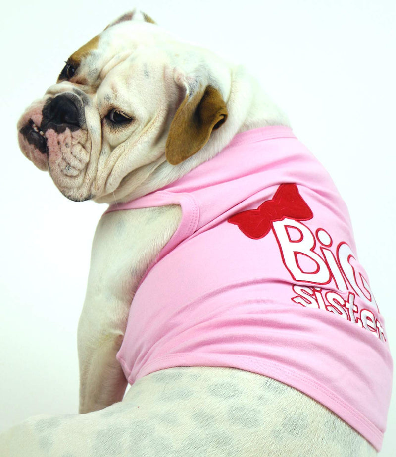 Parisian Pet Dog Cat Clothes Tee Shirts Big Brother and Sister T-Shirt Medium Big Sister - BeesActive Australia