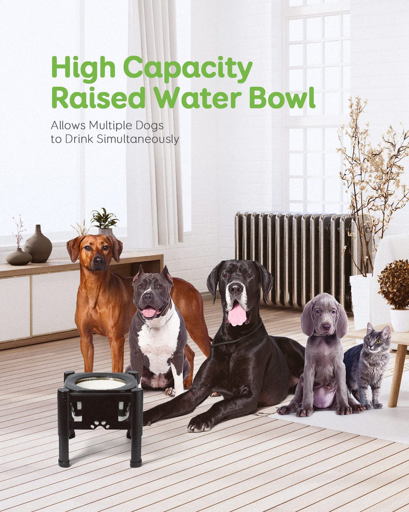 Pawque Elevated Dog Bowls with Slow Feeder Dog Bowl, Adjustable Raised Dog Bowl Stand with 3 Heights (6.1", 7.7", 9.3") for Medium and Small Sized Dog Cat, Mess Proof Non-Slip Pet Dish Feeder Holder Dog Water Bowl - BeesActive Australia
