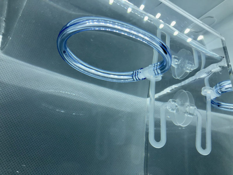 Invisible Feeding Ring (Customizable and Auto-Leveling) for Floating Plant Aquariums and Fish Tanks Standard 2.5" Feeding Ring - BeesActive Australia