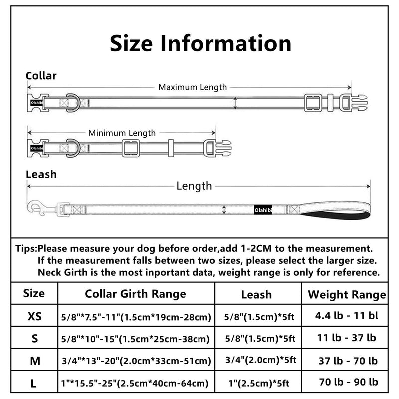 Olahibi Basic Dog Collar Leash Set 2 in 1, Durable Collar and 5ft Matching Lead. S Daisy Set - BeesActive Australia