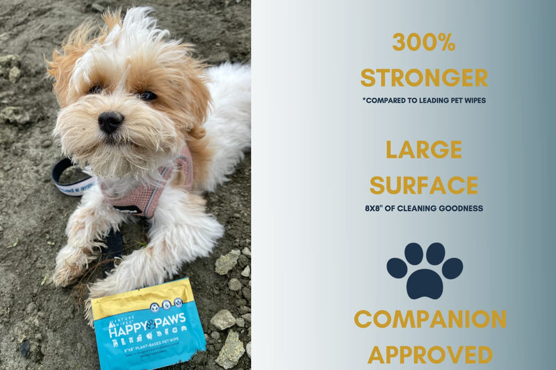 Happy Paws - Natural Pet Wipes for Dogs and Cats. Biodegradable Grooming for Paws, Eyes, Ears, Glands, and Coat. Large and Durable Cleansing Cloths for Essential Pet Care. 20 Individual Wrapped Wipes - BeesActive Australia