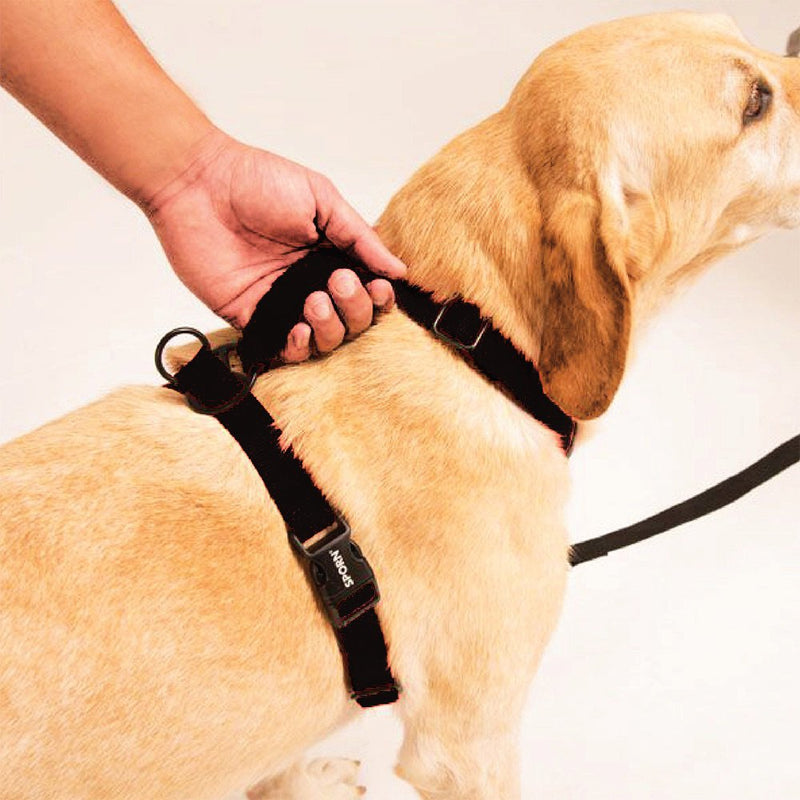 Dog Harness - Non-Pull No-Choke Humane Adjustable Reflective Dog Training Harness, Non Pulling Pet Harness, Easy Step-in Adjustable Harness for Control Small Black - BeesActive Australia