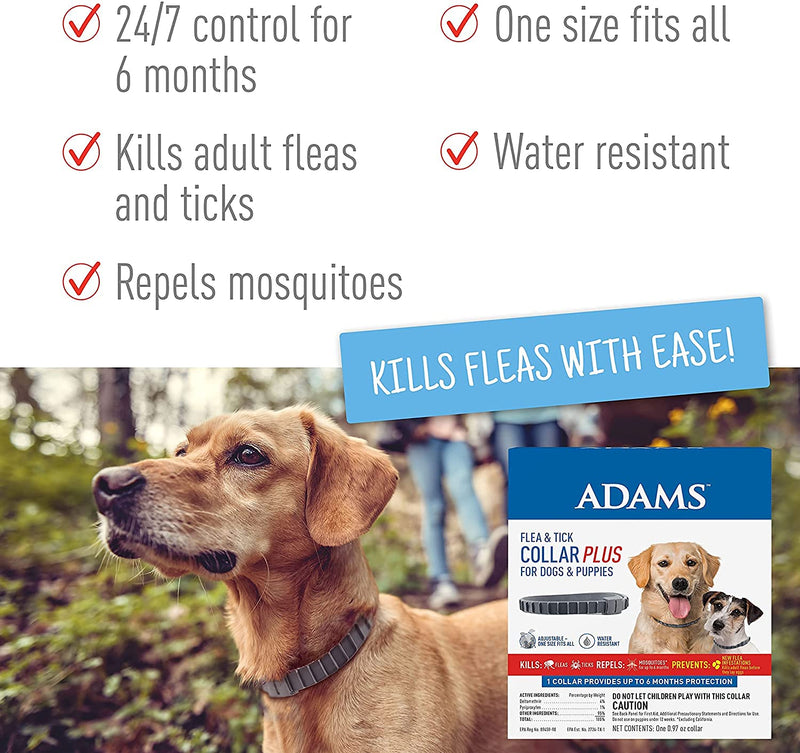 Adams Home Spray + Flea & Tick Dog Collar - BeesActive Australia