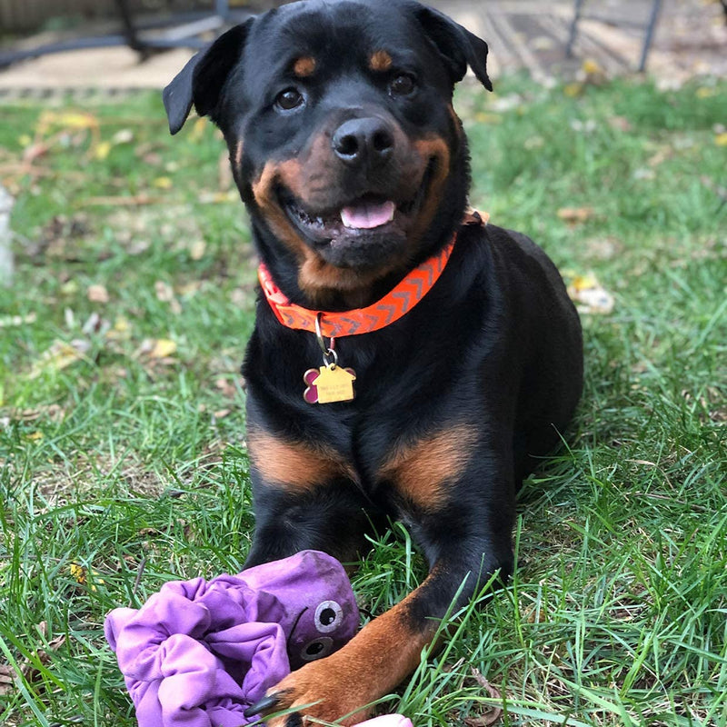 Snuggle Puppy Tender-Tuffs Tug - Extra Large Stretchy Purple Octopus Tough Dog Toy - Great for Fetch and Durable for Tug of War - BeesActive Australia