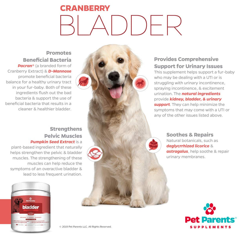 Pet Parents® USA Cranberry Supplement for Dogs - Kidney, Bladder & Urinary Tract (UT) Support Chews - Dog UTI & Incontinence Treatment w/ Pacran®, D-Mannose & Pumpkin Seed 4g 90 Count - BeesActive Australia