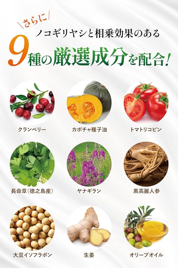 Saw Palmetto Supplement 1 bag 15000mg 60 tablets 30 days supply 2 tablets a day 500mg Zinc Vitamin E Food with nutritive function Made in Japan - BeesActive Australia