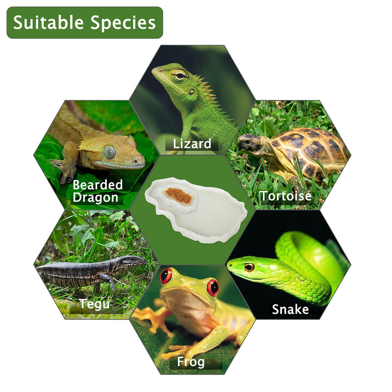 Tfwadmx Reptile Food and Water Bowl Set Luminous Bearded Dragon Dishes Tortoise Feeder Lizard Habitat Large and Small Amphibian Feeding Plates Terrarium DéCor for Turtle Gecko Snake Tegu Iguana 2 Pcs White - BeesActive Australia