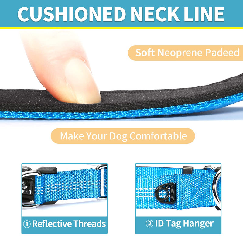 BAAPET Comfortable Dog Collar with Double Security Dual D-Ring and ID Tag Hanger for Small Puppy, Medium and Large Dogs M - 1.0" x (14"-20") Blue - BeesActive Australia