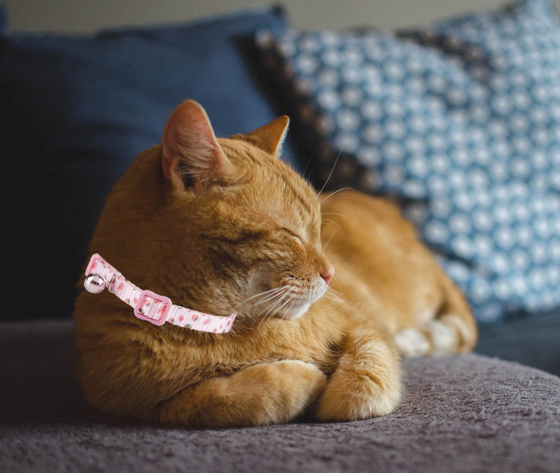 Ewinoom Adjustable Cat Collars Pack of 2 Breakaway Floral Cute Cat Collar with Bell for Female Kitten Neck 7.5"-11.4" Floral Pink + Purple - BeesActive Australia