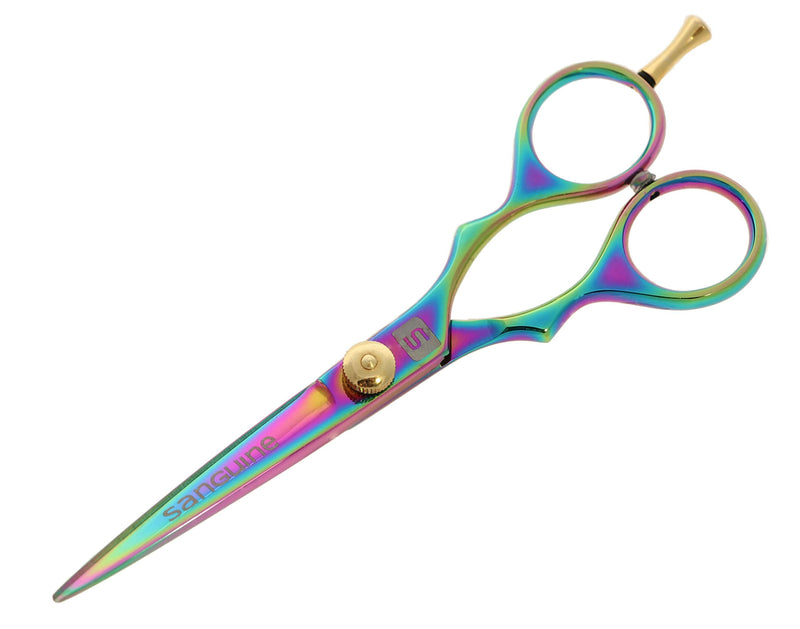 Professional Hair Cutting Scissors, Hairdressing Scissors, Titanium Coated - 5.5 inch, Presentation Case - BeesActive Australia