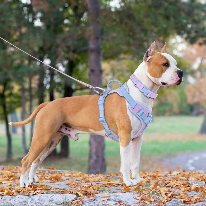 Wolfone No Pull Dog Harness for Large Medium Small Dogs Adjustable Breathable Padded Pet Vest with Control Handle Colorful Easy Walk Harness for Daily Activities {XL} Neck：22”-33”, Chest：28”-39” Sweet Lilac - BeesActive Australia