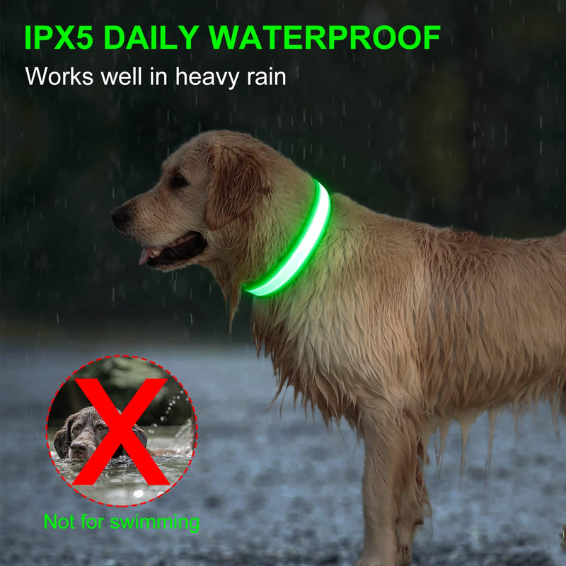 Light Up Dog Collars DQGHQME Led Dog Collar USB Rechargeable Safety Lighted Dog Collar for Small Medium Large Dogs，Flashing Lights for Dog Walking at Night Glow in The Dark Camping Dog Collars. Green-Pure - BeesActive Australia