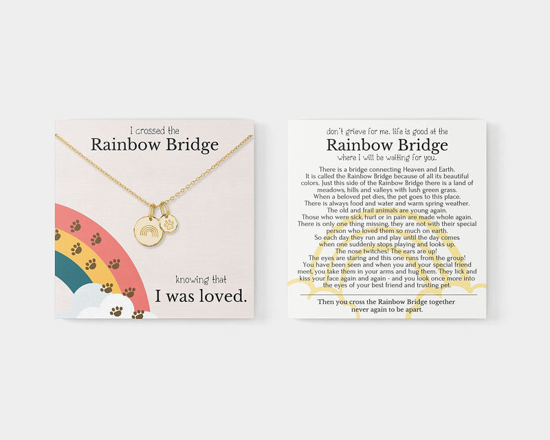 HOPE LOVE SHINE Rainbow Bridge Pet Memorial Necklace - Dog Sympathy Gifts, Loss of Pet, Cat Memorial Jewelry for Women & Men - Dog Dad & Dog Mom Necklace for Death of a Pet - Cat & Dog Memorial Gifts SILVER - BeesActive Australia