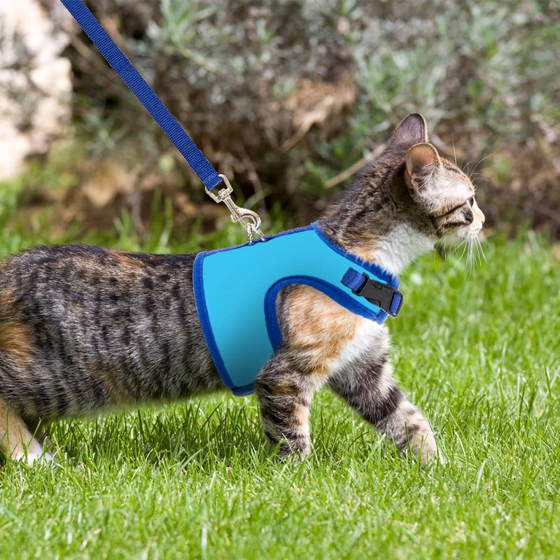 BINGPET Cat Harness with Leash Escape Proof - Fashionable Mesh Cat Dog Walking Harness Leads, Adjustable for Kitties Puppies Small Animals Blue Medium - BeesActive Australia