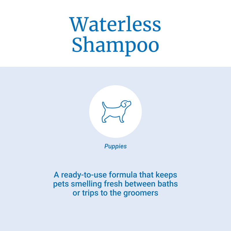 PetAg Fresh 'n Clean Classic Fresh Waterless Shampoo for Dogs - Contains Aloe Vera - Anti-Tangle Formula to Release Mats and Tangles - 12 fl oz - BeesActive Australia