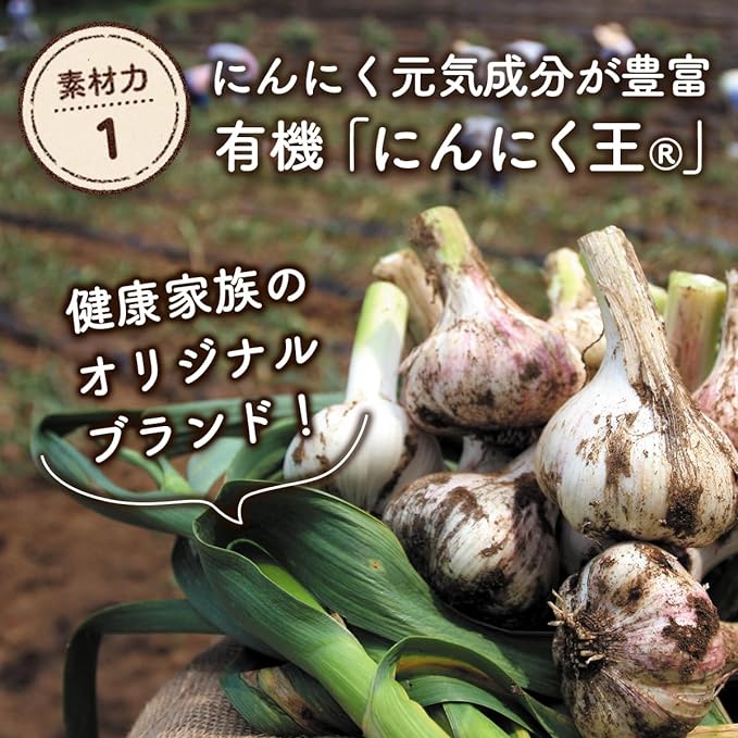 [Health Family] Garlic Ginger, 31 Capsules, Kyushu, Warm Active Ingredient "Gingaol", W Low Odor Formulation, Golden Ginger, Organic "Garlic King", Garlic Vitality Ingredient "GSAC", Ginger Supplement - BeesActive Australia