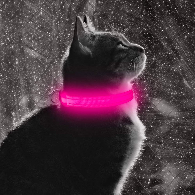 BSEEN Light Up Dog Collars - Rechargeable Glowing LED Dog Collar for Small Dogs & Cats Pink - BeesActive Australia