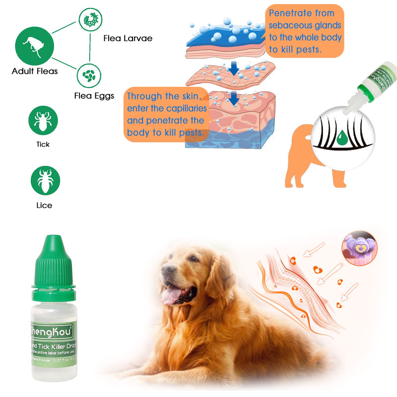 Flea and Tick Collar for Small Dog, Made with Natural Plant Based Essential Oil, Safe and Waterproof, Free Comb and Prevention Treatment Drop, 2x6 Month, 13.8 in (2 Packs) - BeesActive Australia