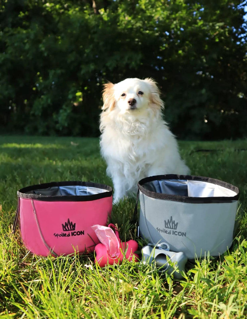 Spoiled Icon Collapsible Dog Water/Food Bowl. Super Compact Foldable, Portable, Premium Quality, Super Sturdy Travel Pet Bowl. 100% Waterproof 24/7 Guaranteed! Plus Gift Celebrity Silver - BeesActive Australia
