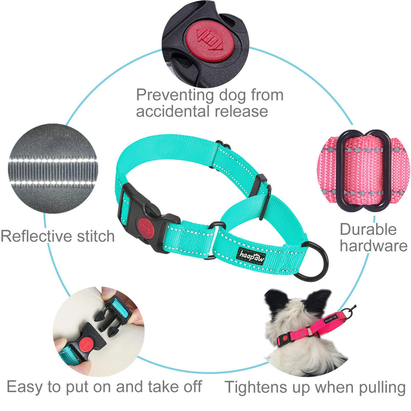 haapaw 2 Packs Martingale Dog Collar with Quick Release Buckle Reflective Dog Training Collars for Small Medium Large Dogs Medium (Pack of 1) Turquoise, Collar+Leash - BeesActive Australia