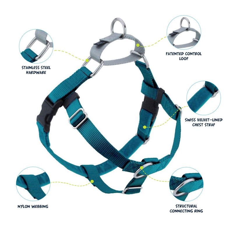 2 Hounds Design Freedom No Pull Dog Harness | Adjustable Gentle Comfortable Control for Easy Dog Walking |for Small Medium and Large Dogs | Made in USA | Leash Included 1" MD (Chest 24"- 28") Teal - BeesActive Australia