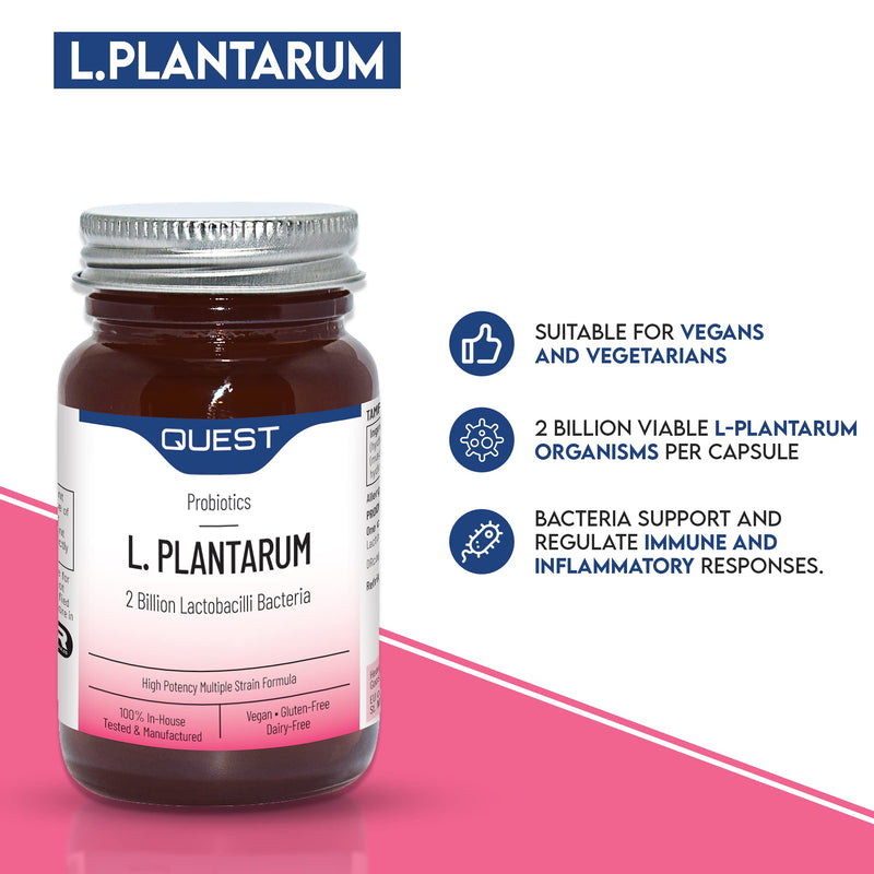 Quest L Plantarum Probiotic Capsules 2 Billion CFU For Immune & Digestive Support. Helps Restore Gut Friendly Bacteria & Regulate Immune Responses. Vegan & Gluten Free (90 Capsules) 90 Count (Pack of 1) - BeesActive Australia