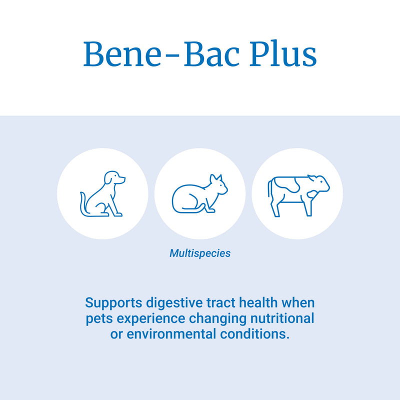 PetAg Bene-Bac Plus Pet Powder with FOS and Probiotics - Recommended for All Animals Subjected to Adverse Conditions - 4.5 oz - BeesActive Australia