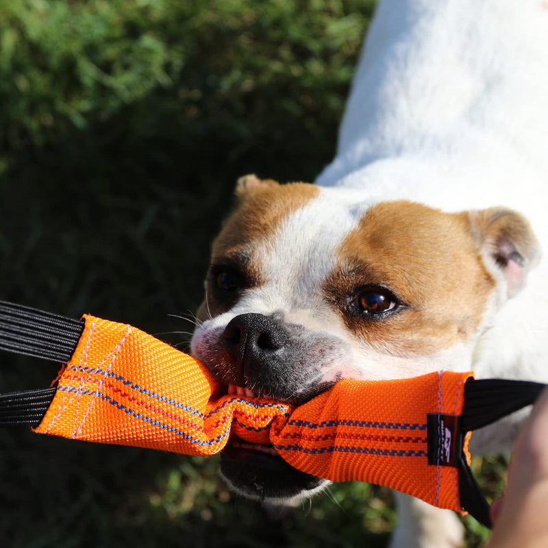 Bungee Dog Bite Tug Toy with 2 Strong Handles - Made of Durable & Tear-Resistant Fire Hose - Perfect for Tug of War, Fetch & Puppy K9 Training - Ideal Pull Toy for Medium to Large Dogs Orange - BeesActive Australia