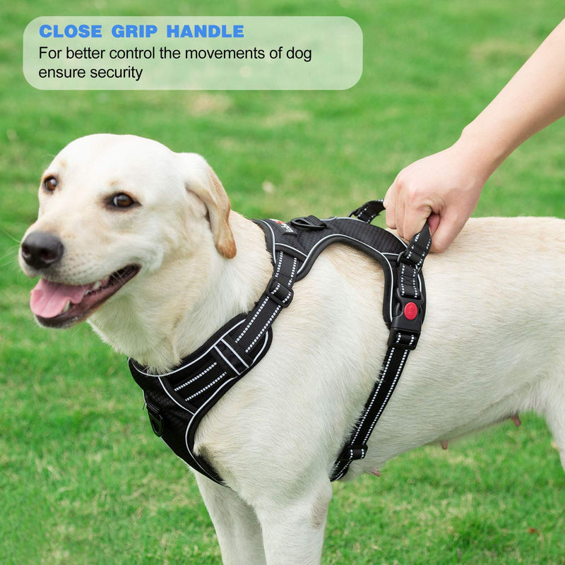 tobeDRI No Pull Dog Harness Adjustable Reflective Oxford Easy Control Medium Large Dog Harness with A Free Heavy Duty 5ft Dog Leash Large (Pack of 1) Blue Harness+Leash - BeesActive Australia
