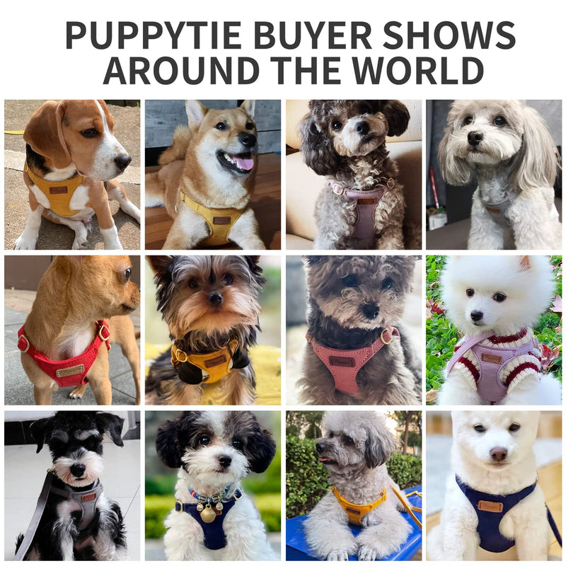 No Pull Dog Harness with Multifunction Dog Leash,Lightweight Pet Harness Vest and Soft Adjustable No Choke Escape Proof Cute Dog Harness for Puppies or Small Dogs,Medium Dogs or Large Dogs pink XX-Small - BeesActive Australia