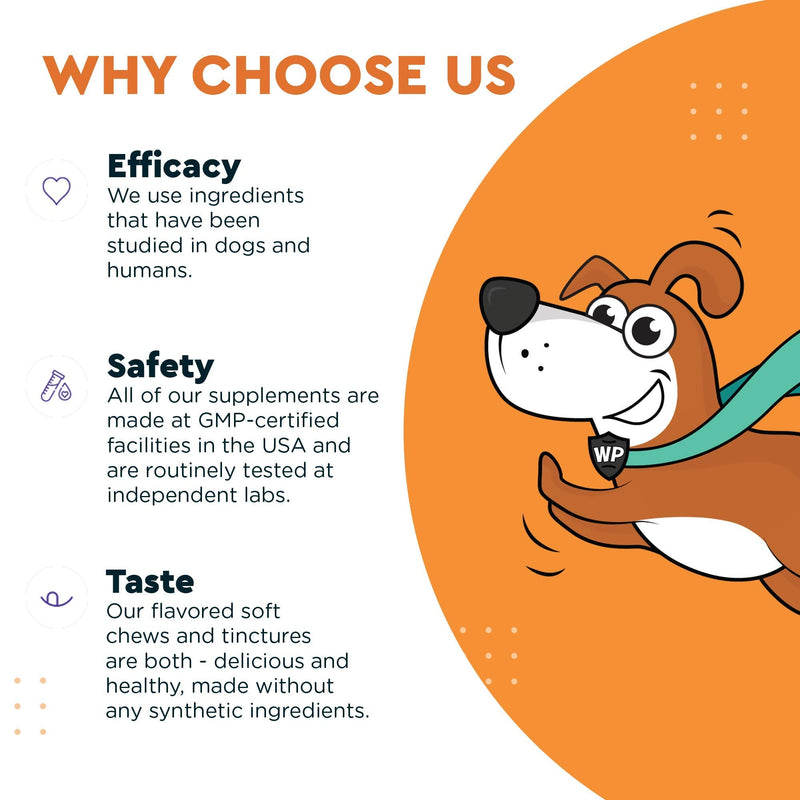 Wonder Paws Probiotics for Dogs – Daily Probiotic Supports Gut Health, Digestion, Gas, Bloating, Constipation, Stomach Relief & Immune Support - With Natural Probiotic & Prebiotic – 90 Probiotic Chews - BeesActive Australia