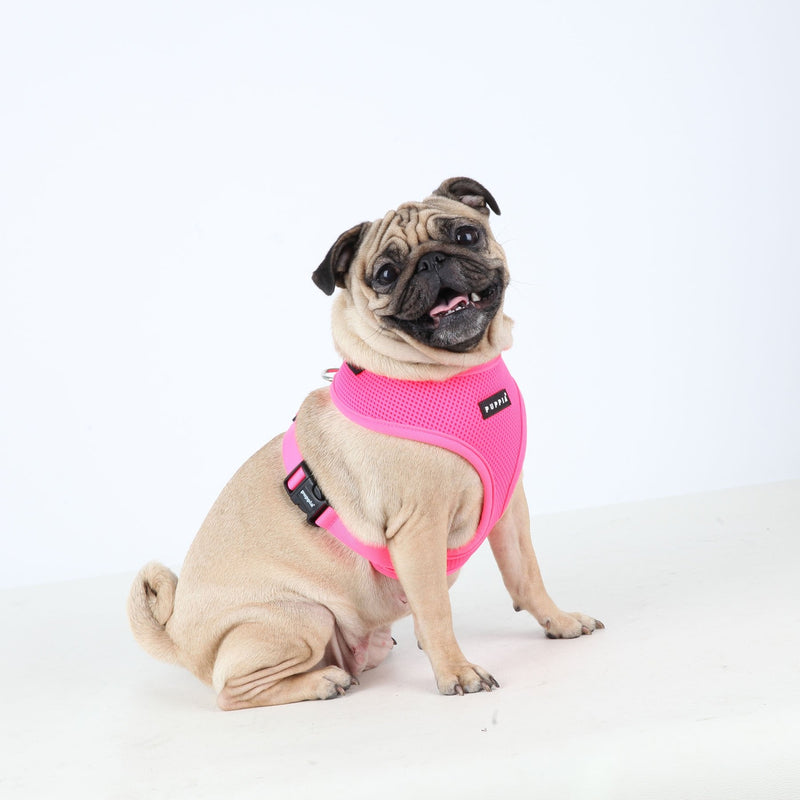 Neon Soft Harness A S Green - BeesActive Australia