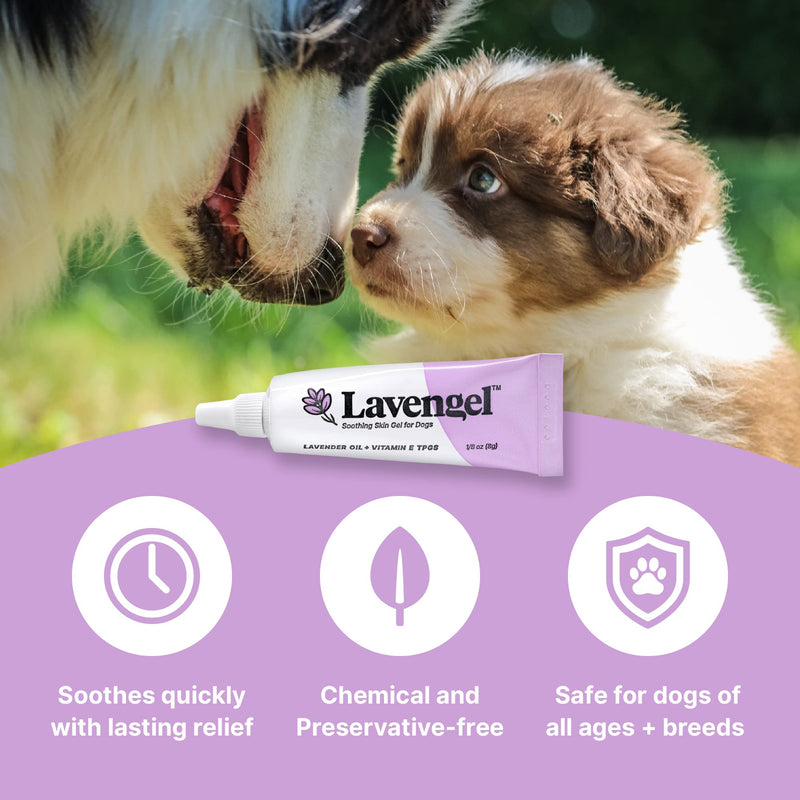 Lavengel Dog Skin Care Gel - Highly Concentrated Antimicrobial Ointment Relieves Itchy Skin and Heals Wounds Naturally, First-Aid for Skin Irritations, Hotspots, Sores, and Acne, We Support Rescues - BeesActive Australia