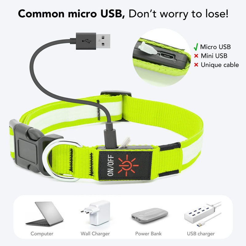 PZRLit LED Light Up Dog Collars Micro USB Rechargeable Waterproof, Full Adjustable & Bright Lighted Glow Dark Dog Collar Light for Night Walking for Large Medium Small Dogs Green - BeesActive Australia