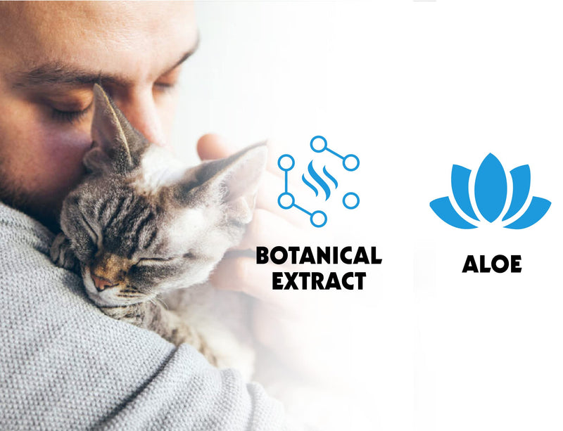 Petkin Kitty Eye Wipes, 40 Moist Wipes - Gentle Eye Cleaning Wipes Remove Dirt, Discharge, & Tear Stains - Safe, Convenient, Easy to Use Pet Wipes for Cats & Kittens - Ideal for Home or Travel - BeesActive Australia