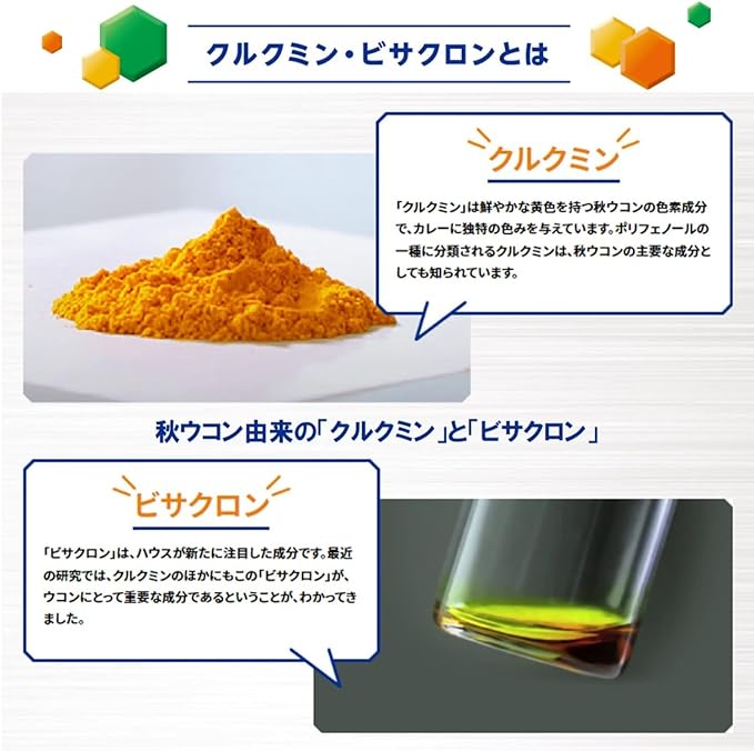 Turmeric Power Granules <10 servings> - BeesActive Australia