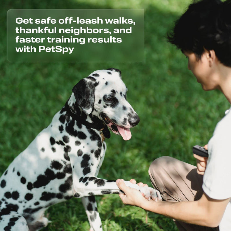 PetSpy Dog Barking Control Devices N10 - Ultrasonic Dog Bark Deterrent for Indoor & Outdoor with 16.4 Feet Range - Puppy & Dog Trainer with 2 Frequency Modes & Training Cards - BeesActive Australia