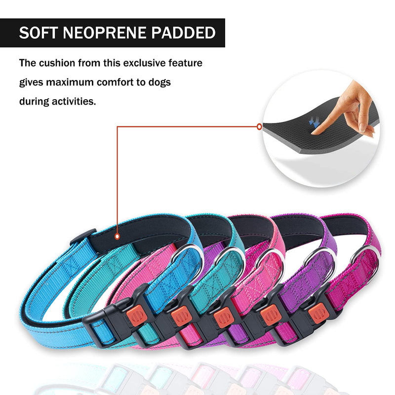 Reflective Dog Collar with Safety Locking Buckle, Adjustable Soft Neoprene Padded Breathable Nylon Pet Collar for Small Medium Large Dogs, 4 Sizes Sky Blue Small :Width 5/8",Neck 10-14" - BeesActive Australia