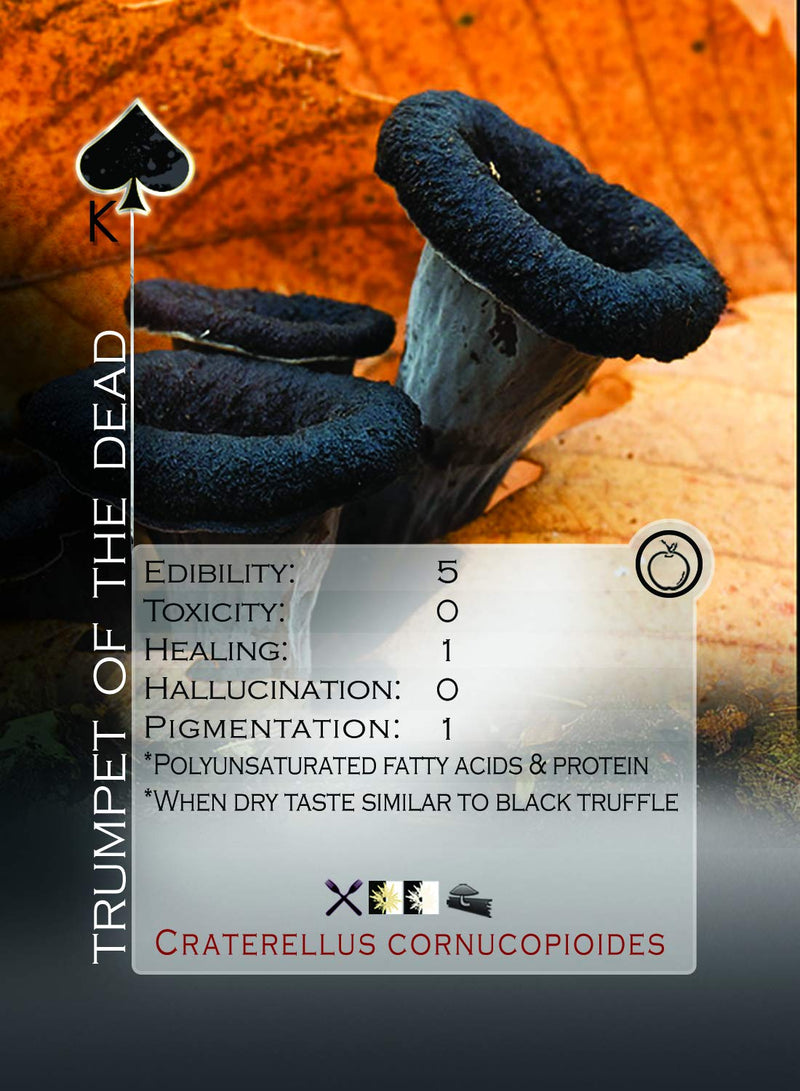 [AUSTRALIA] - mushstack - Mushroom Identification Playing Cards - Educational Poker Size Deck - Mycological Learning Cards 