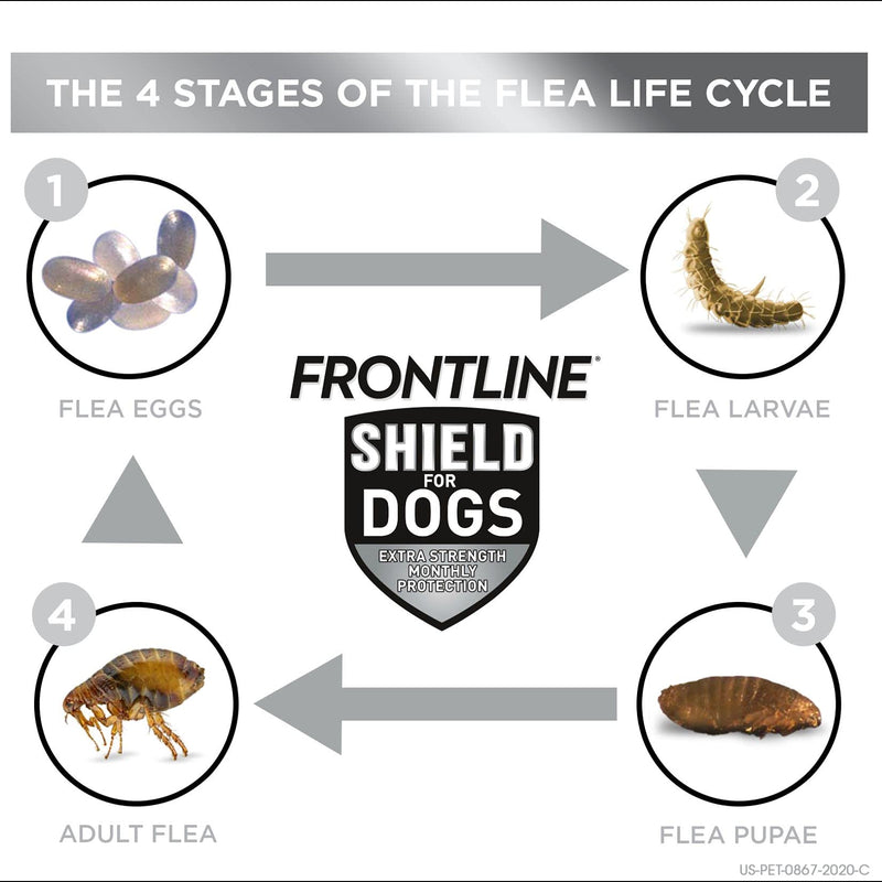 FRONTLINE Shield for Dogs Flea & Tick Treatment, 11-20 lbs 3 Count - BeesActive Australia